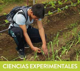 Bachillerato Tecnológico: Ciencias Experimentales