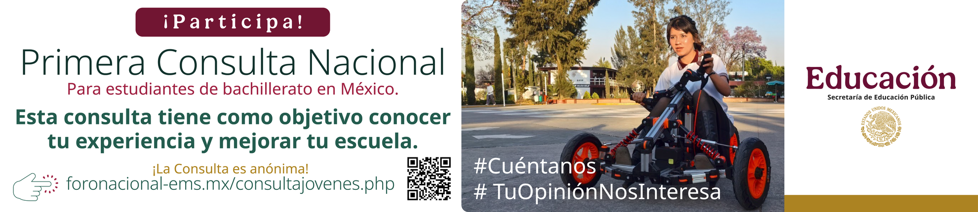 BannerConsulta