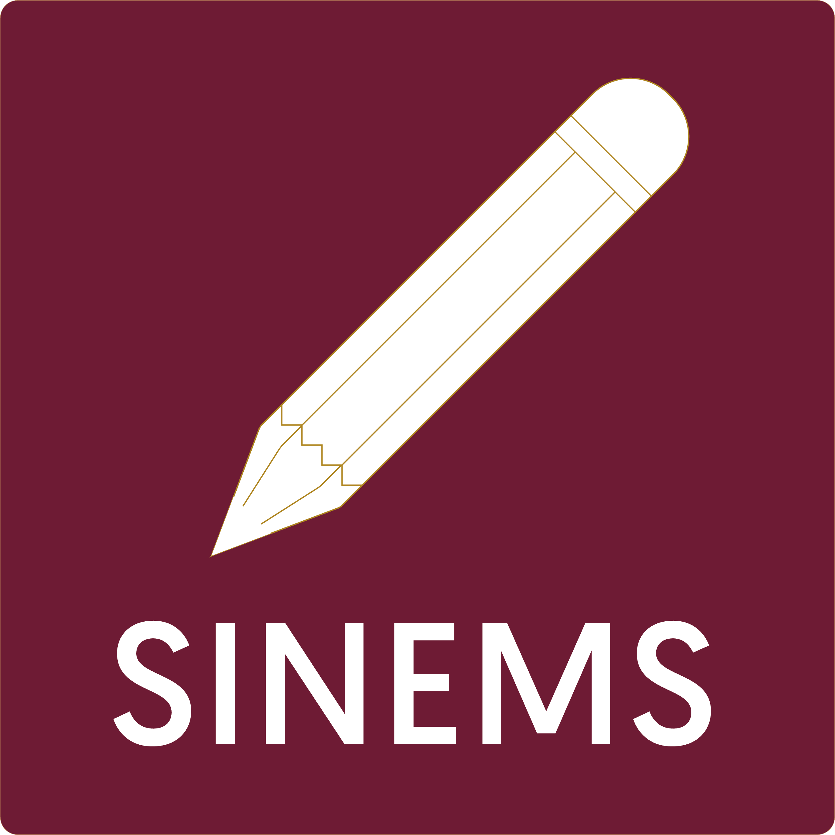 SINEMS